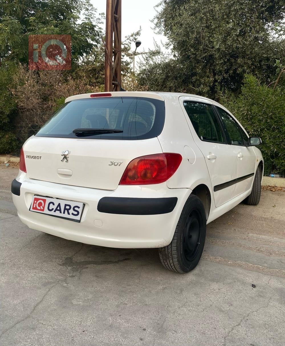 بيجو 307